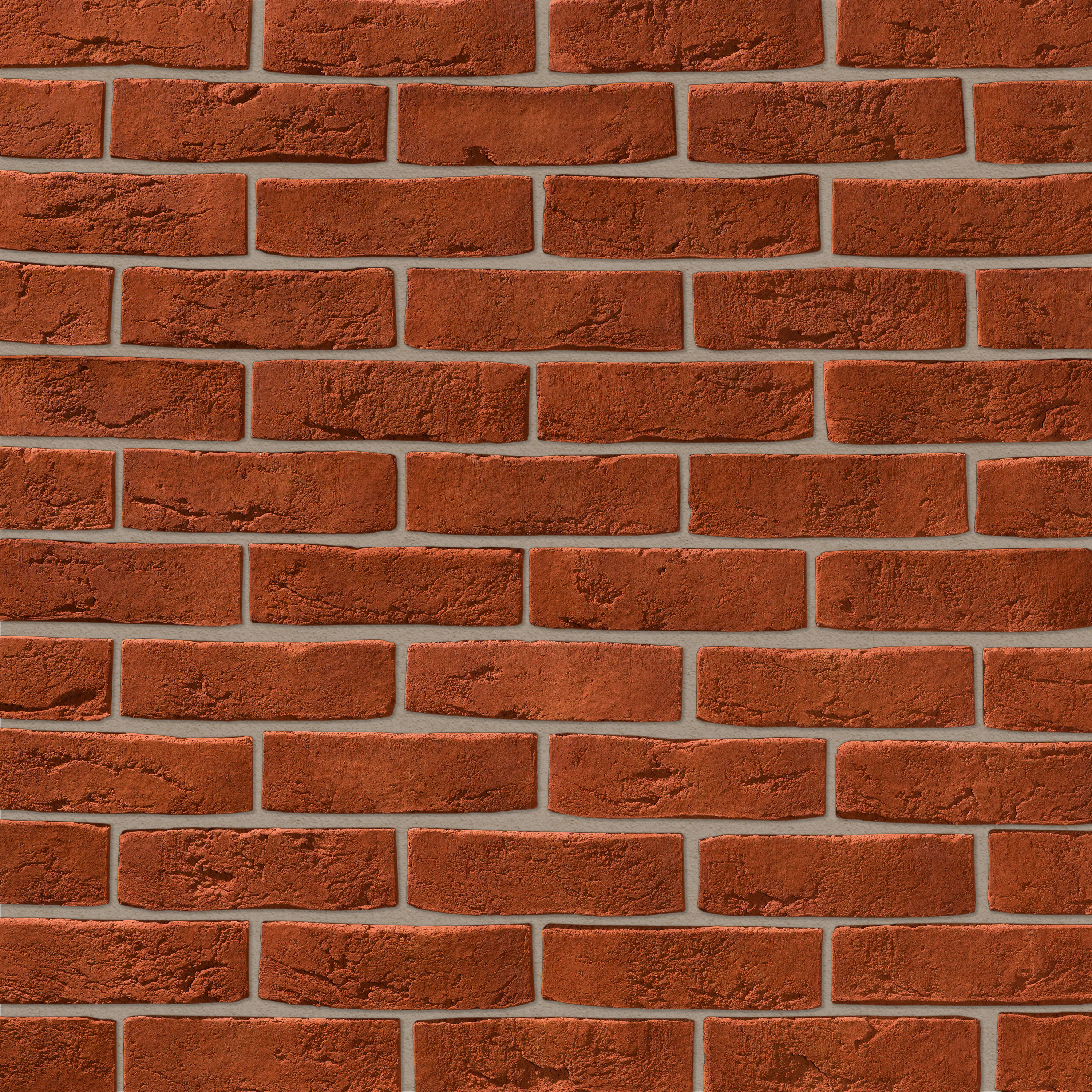 Дижон Дижон 776