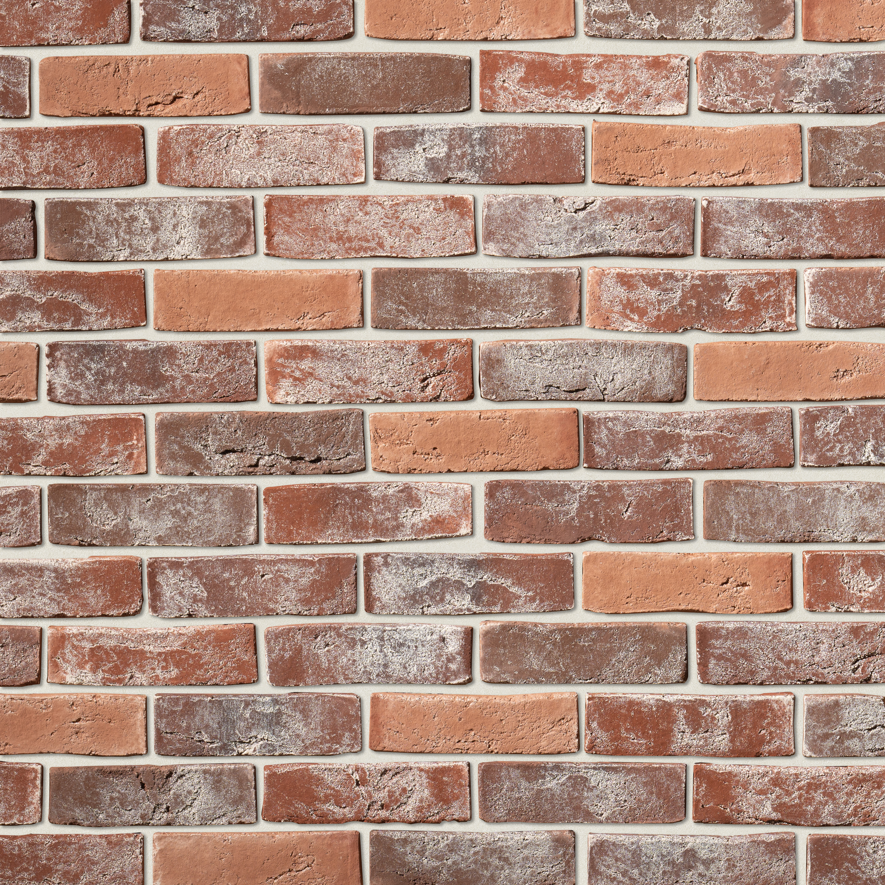 Дижон Дижон 902