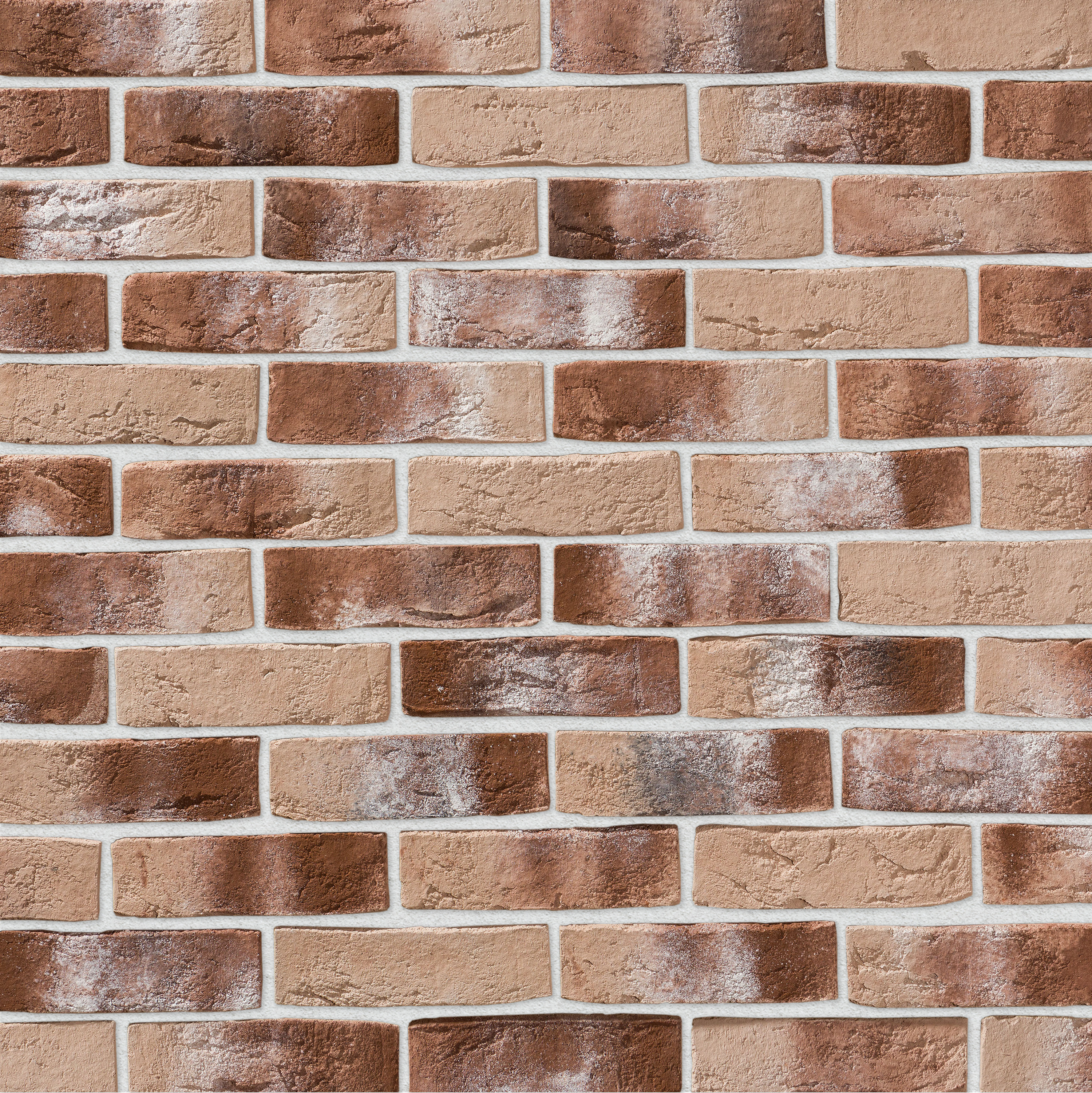 Дижон Дижон 333