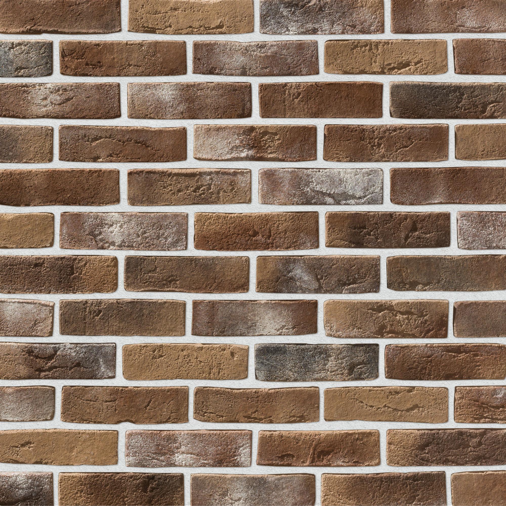 Дижон Дижон 402