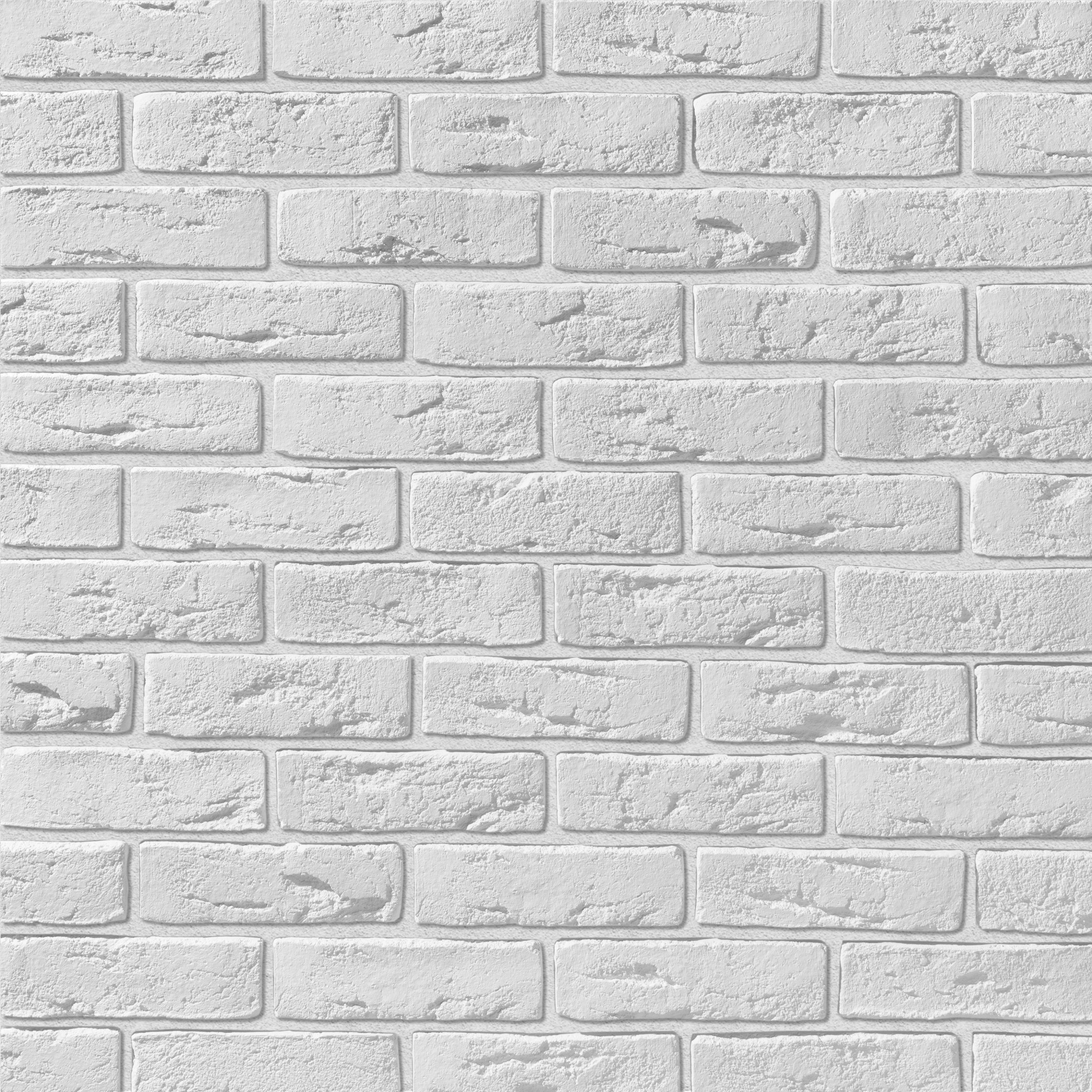 Дижон Дижон 100