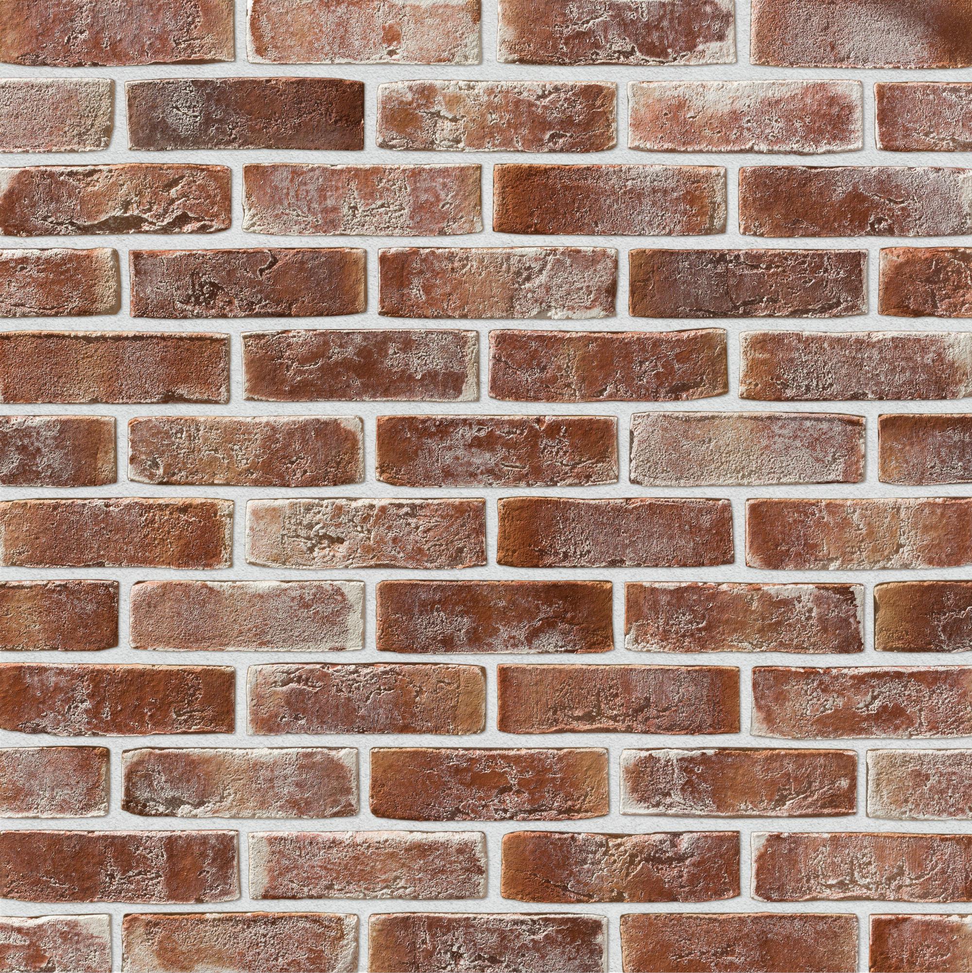 Дижон Дижон 788