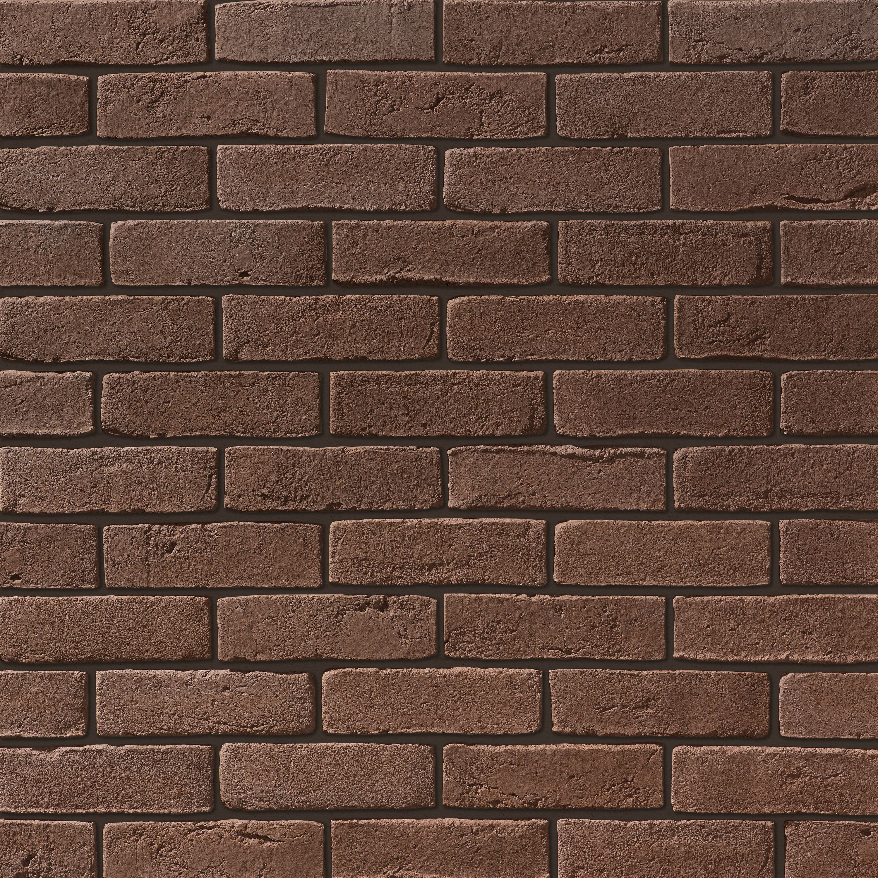 Дижон Дижон 709