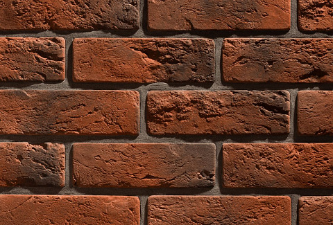 Лион Лион 767