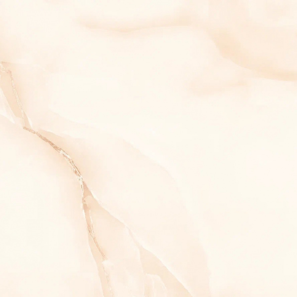 Напольная плитка 49,5 х 49,5 см Керамогранит Eurotile (Иран) 49,5х49,5 ONIX 560