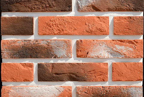 Прованс Прованс 480