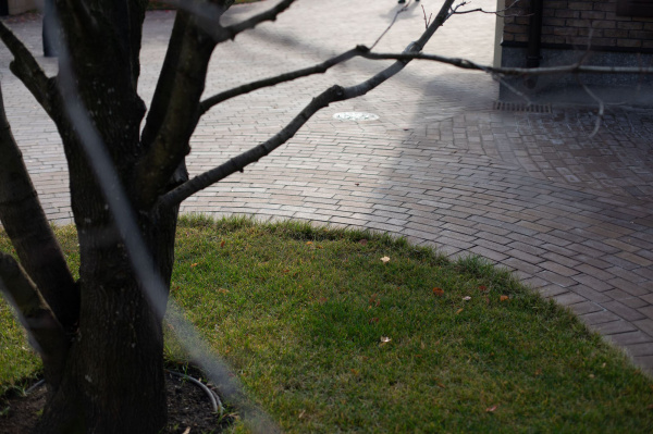 Клинкерная брусчатка WK-PK33 Braun