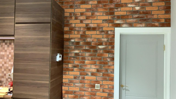 Руан Руан 490