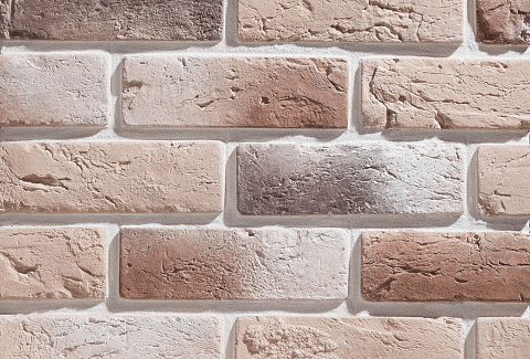 Лион Лион 333