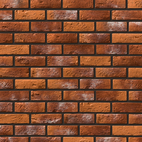 Лион Лион 490