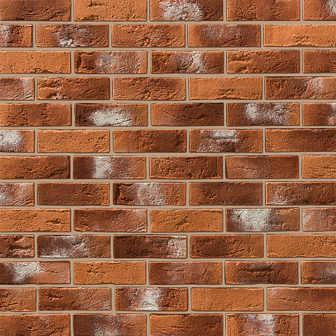 Бремен Бремен 490