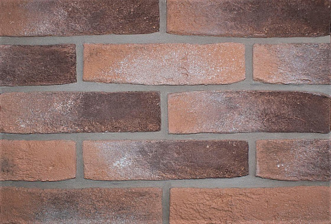 Дижон Дижон 485