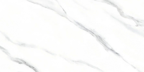 Керамический гранит 60 х 120 см Керамогранит Eurotile (Иран) 60x120 MADISON 240