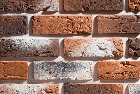 Лион Лион 485