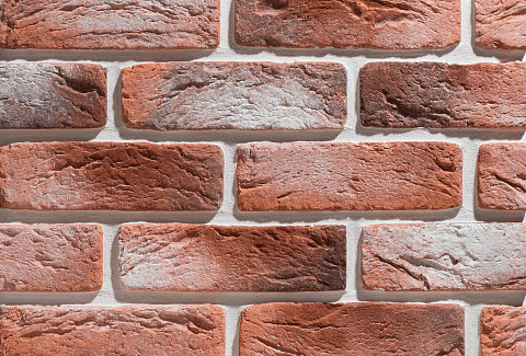 Руан Руан 490