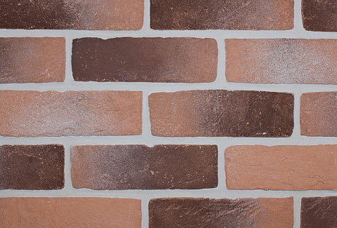 Орли Орли 485