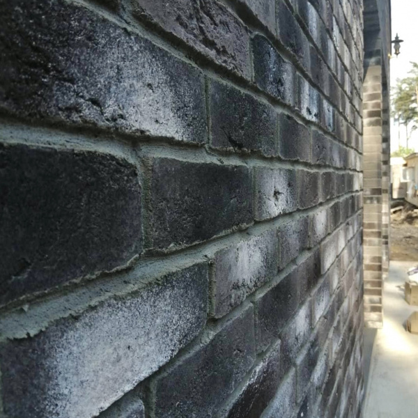 Дижон Дижон 465