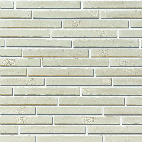 Роттердам Роттердам 404