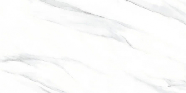 Керамический гранит 60 х 120 см Керамогранит Eurotile (Иран) 60x120 MADISON 240