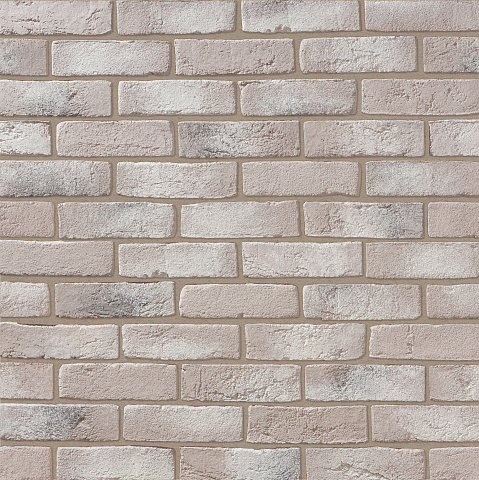 Дижон Дижон 403