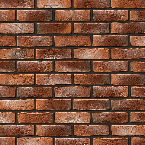 Дижон Дижон 490