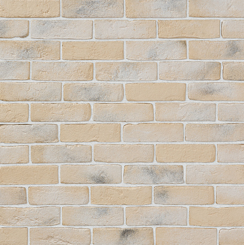 Дижон Дижон 052