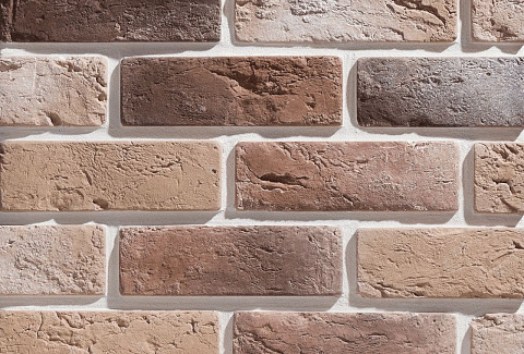 Лион Лион 402