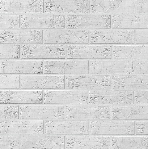 Сидней Сидней 100