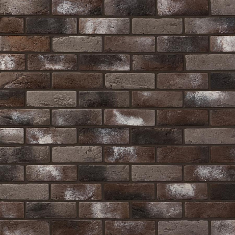 Лион Лион 465