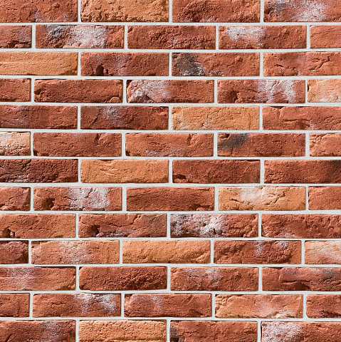 Прованс Прованс 490