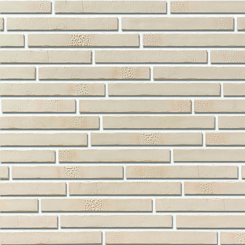 Роттердам Роттердам 407