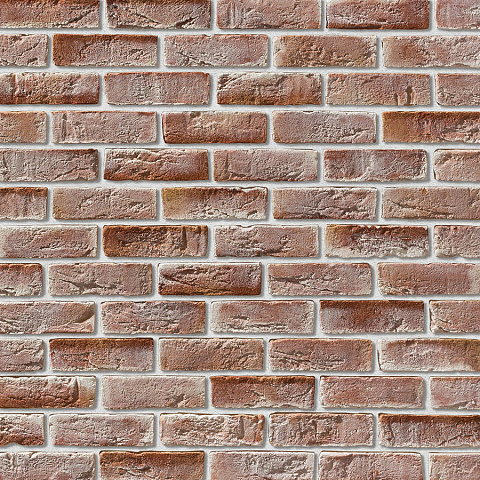 Орли Орли 787