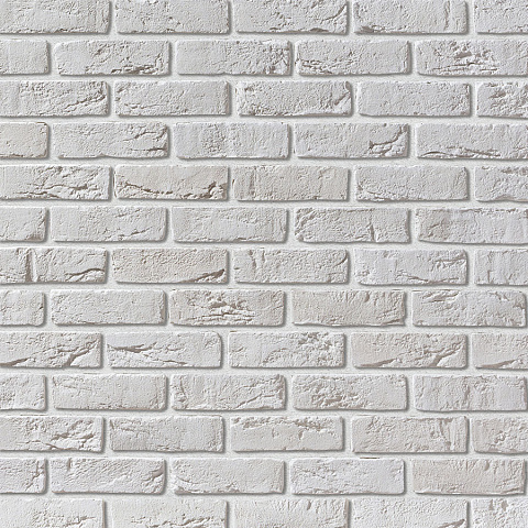 Орли Орли 100