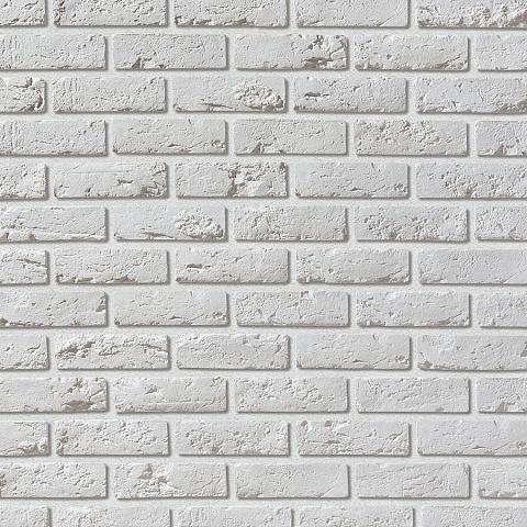 Лион Лион 100