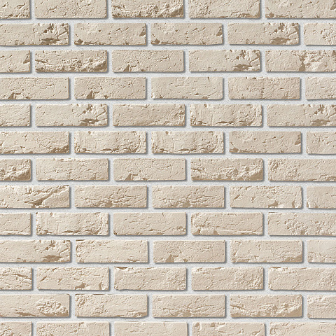 Лион Лион 404